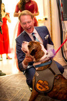 Fashion for Paws 2018