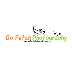 Go Fetch Photography